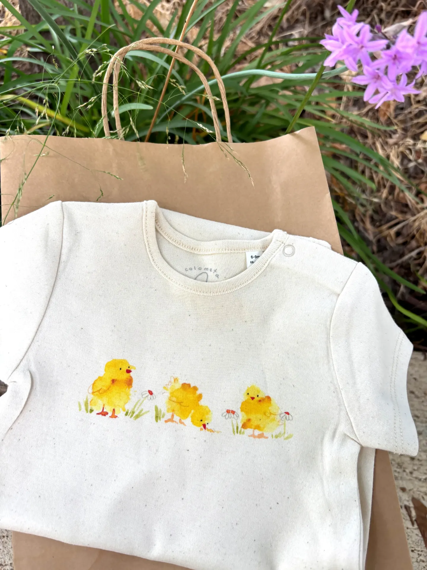 Body bebé - Pollitos